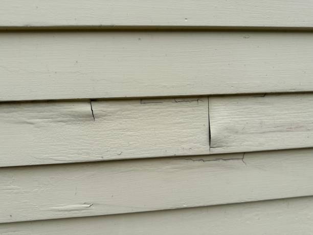 Siding Installation